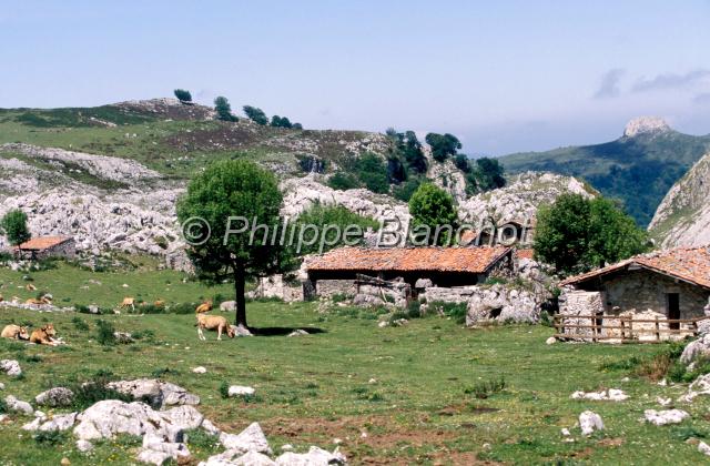 espagne asturies 10.jpg - Montagne de Covadonga, Pics d'EuropeAsturies, Espagne